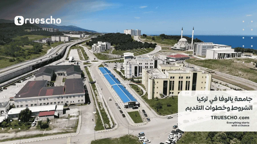 جامعة يالوفا