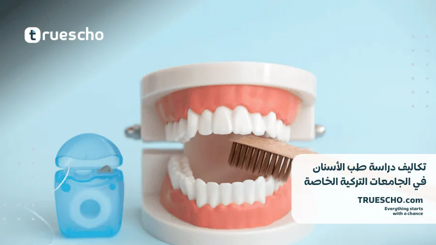 تكاليف دراسة طب الأسنان