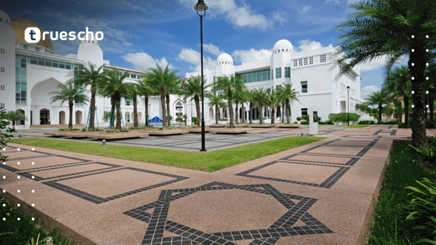 منحة جامعة البخاري