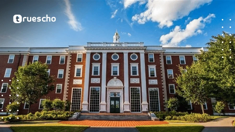 منح بكالوريوس ممولة بالكامل