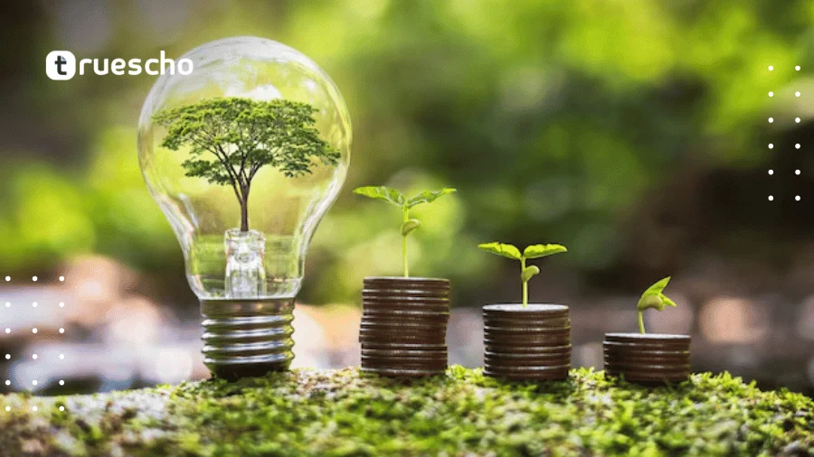 تدريب منظمة الفاو