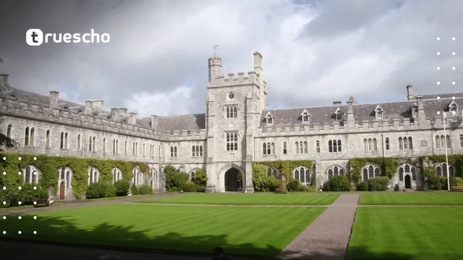 منحة حكومة أيرلند