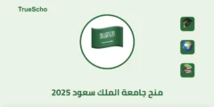 منح جامعة الملك سعود الدراسية 2025 في المملكة العربية السعودية (ممولة بالكامل)