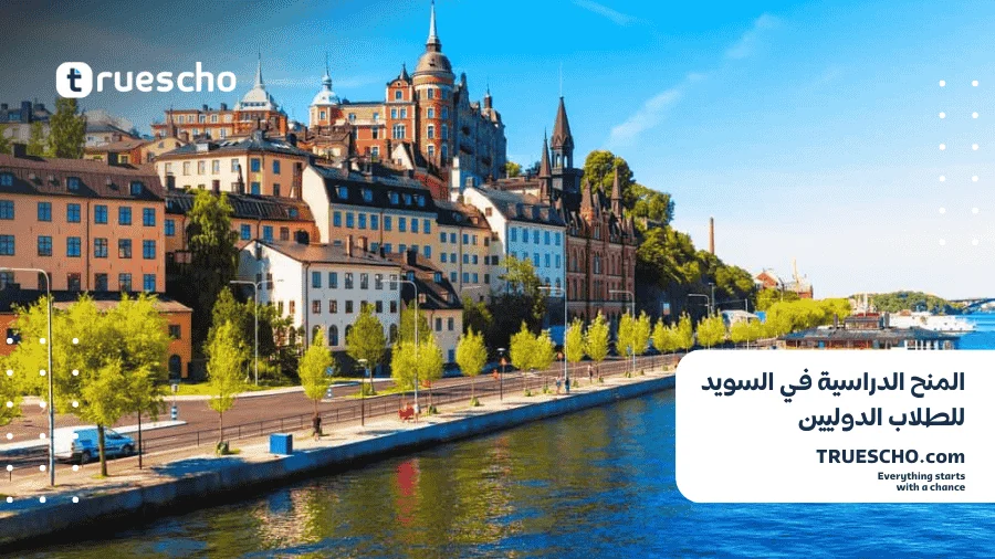 المنح الدراسية في السويد