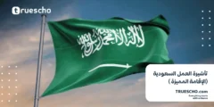 تأشيرة العمل السعودية | الإقامة المميزة 2025