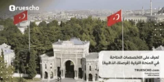 تعرف على التخصصات المتاحة في المنحة التركية 2025 : فرصتك الذهبية!