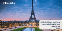برنامج التدريب لدى OECD في فرنسا للعام 2024: فرصة مدفوعة للطلاب الدوليين