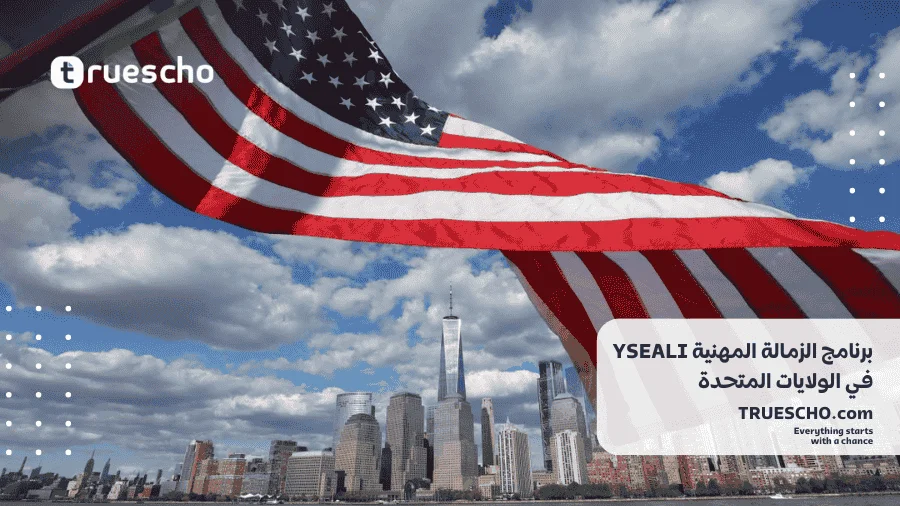 برنامج الزمالة المهنية YSEALI