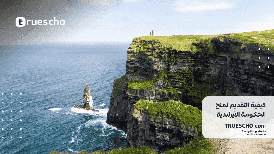 منح الحكومة الأيرلندية