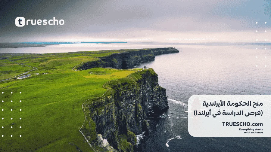 منح الحكومة الأيرلندية