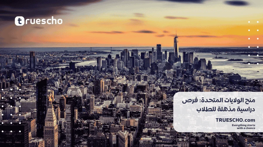 منح الولايات المتحدة