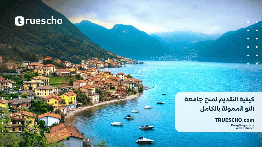 منح جامعة آلتو