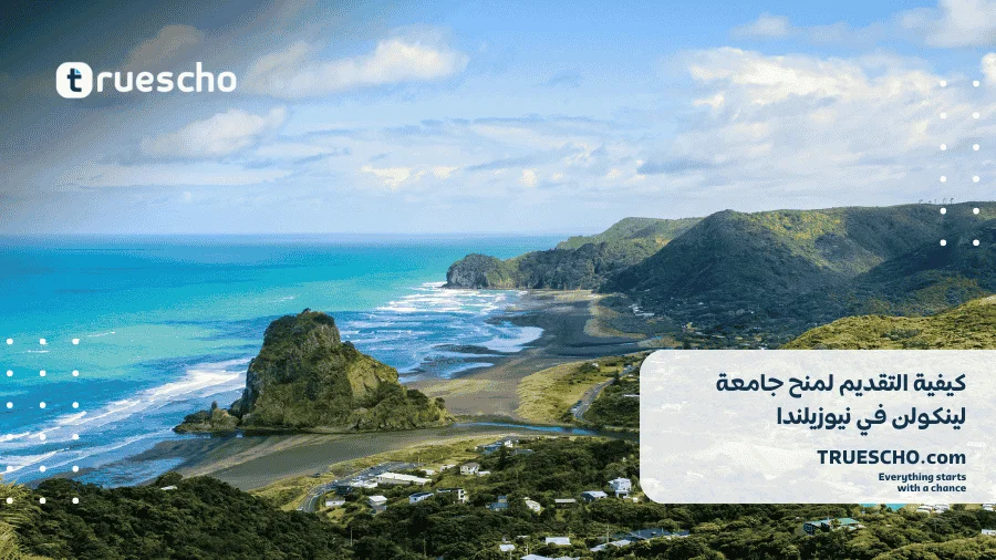 منح جامعة لينكولن