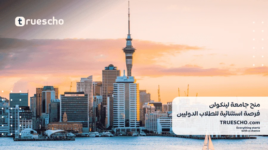 منح جامعة لينكولن