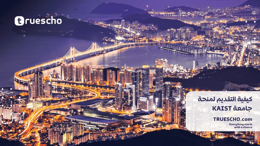 منحة جامعة KAIST