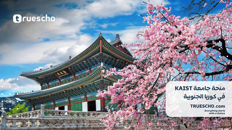 منحة جامعة KAIST