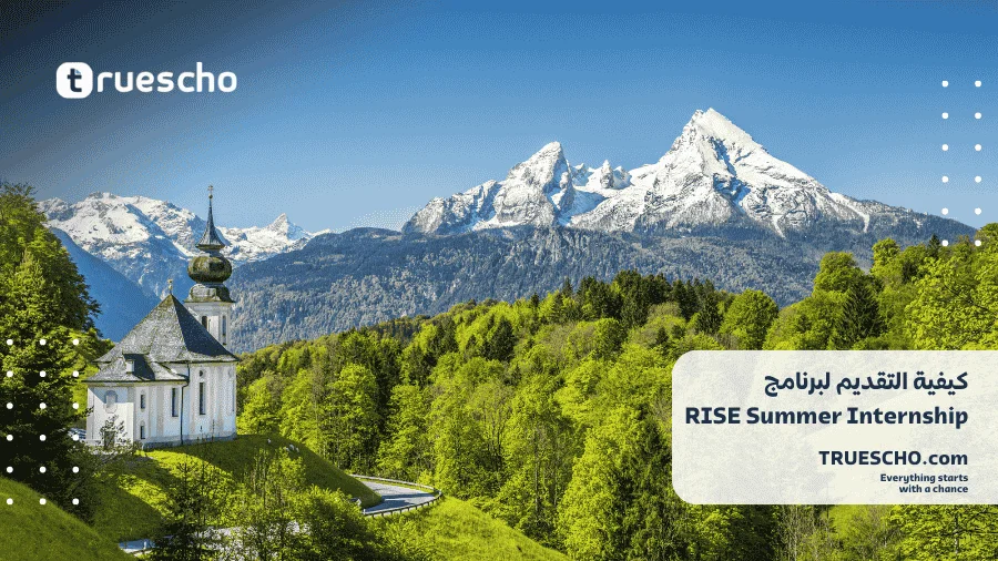 برنامج التدريب الصيفي RISE 