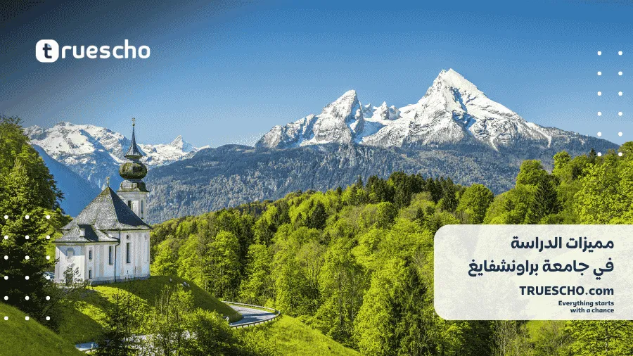 جامعة براونشفايغ 