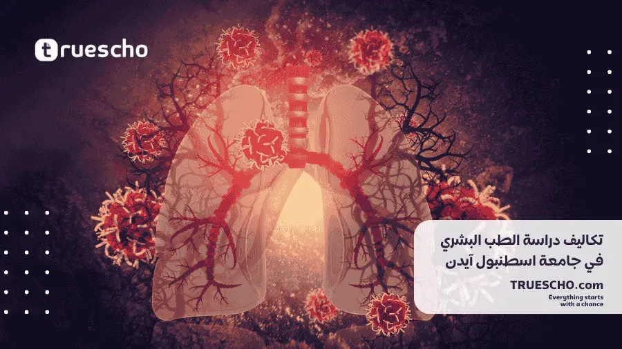 دراسة الطب البشري في جامعة آيدن