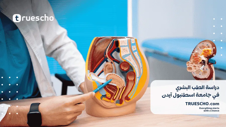دراسة الطب البشري في جامعة آيدن