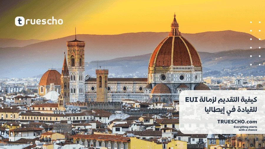 زمالة EUI للقيادة