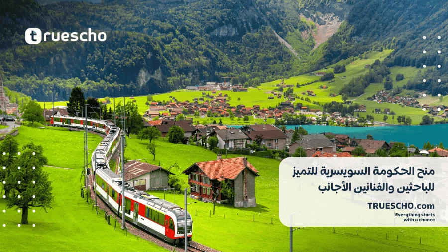 منح الحكومة السويسرية للتميز