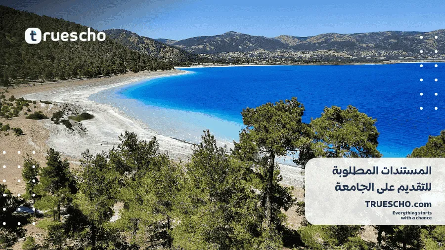 منحة جامعة يني يوزيل 