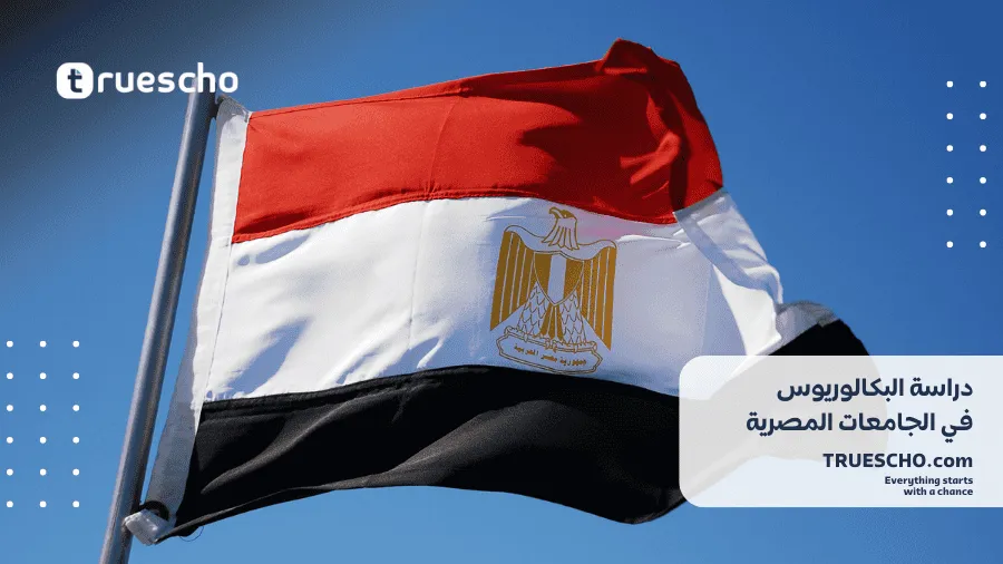 البكالوريوس في الجامعات المصرية