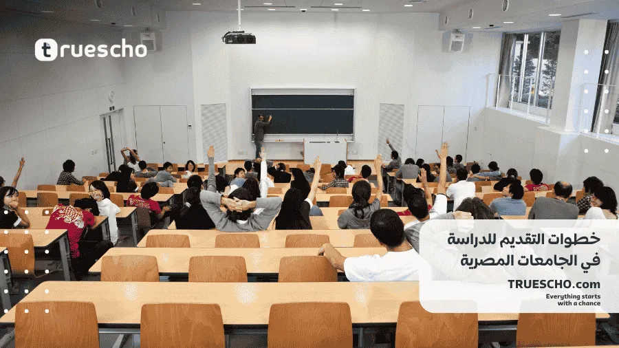 الدراسة في مصر