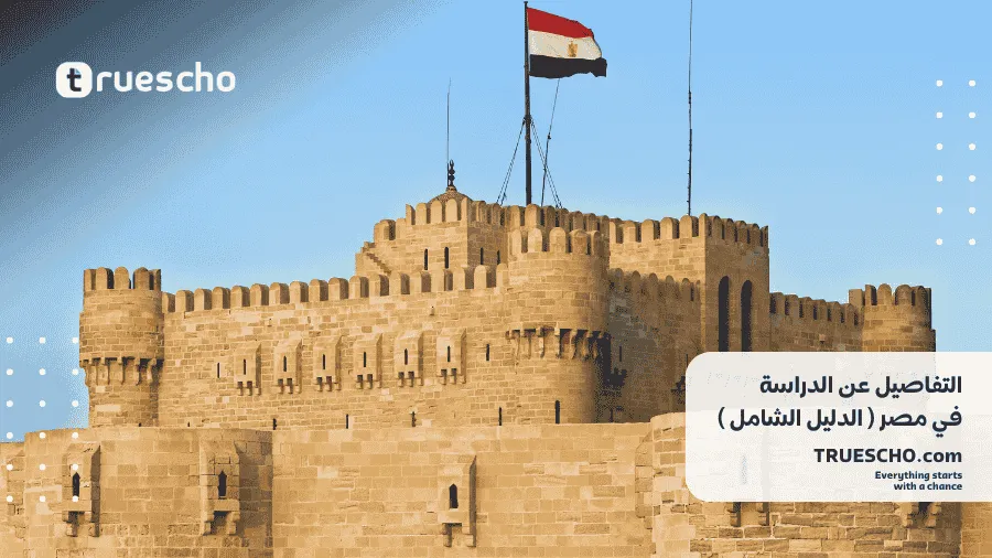 الدراسة في مصر