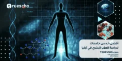 أفضل خمس جامعات لدراسة الطب البشري في تركيا 2025