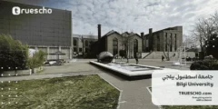 جامعة اسطنبول بيلجي