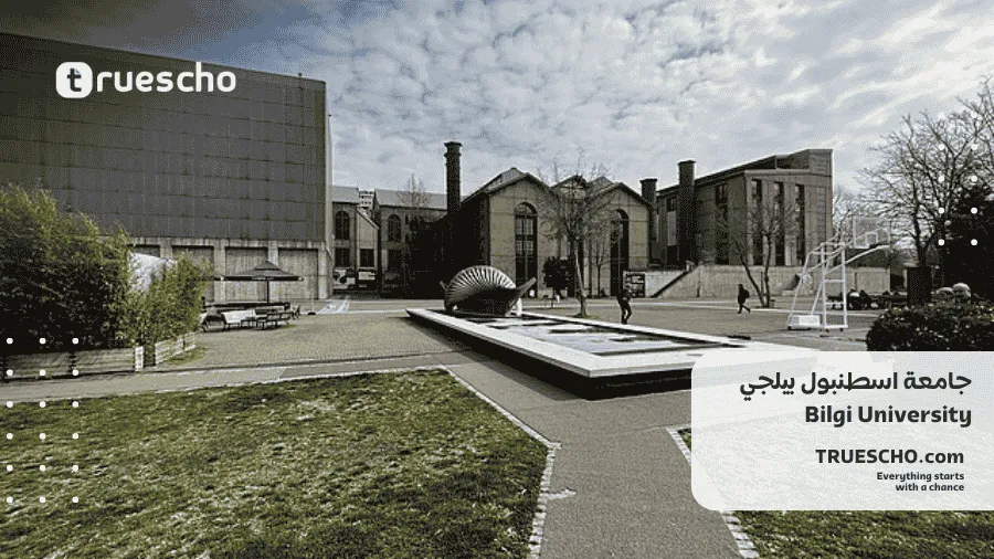 جامعة اسطنبول بيلجي