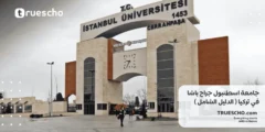 جامعة اسطنبول جراح باشا