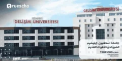 جامعة اسطنبول جيليشيم