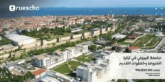جامعة البيروني في تركيا