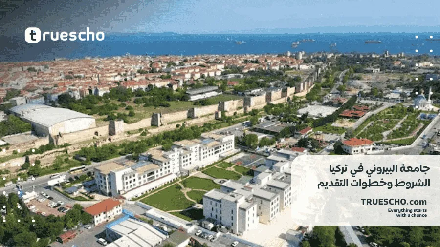 جامعة البيروني