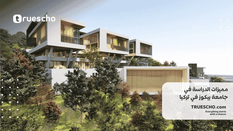 جامعة بيكوز 