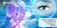 دراسة البيولوجيا الجزيئية وعلم الوراثة في تركيا 2025