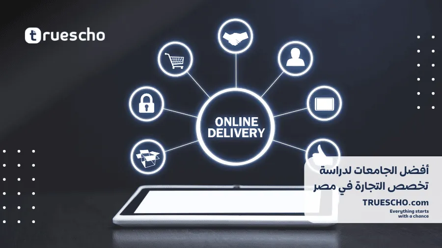 دراسة التجارة في مصر 