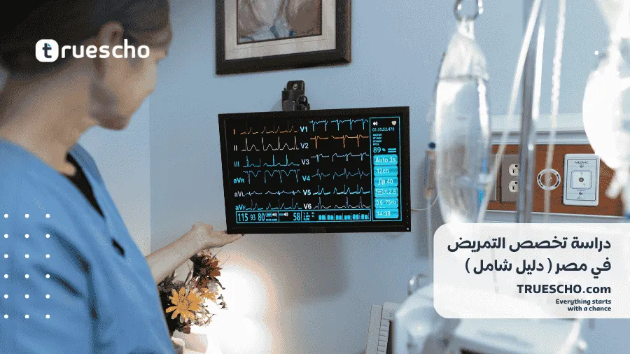 دراسة التمريض في مصر