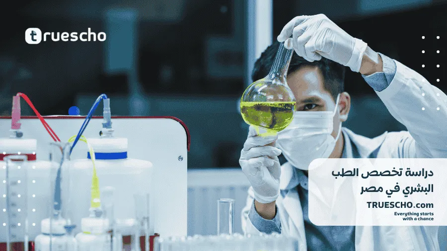 دراسة الطب البشري في مصر