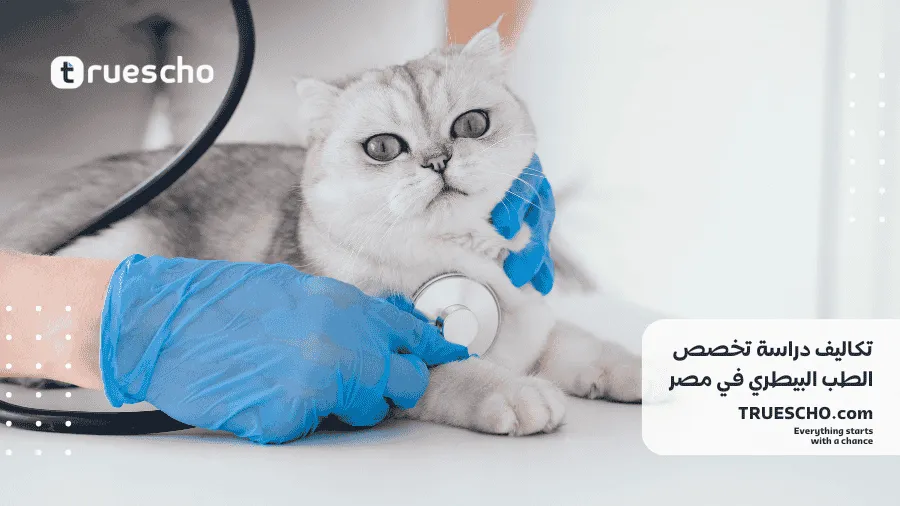 دراسة الطب البيطري في مصر