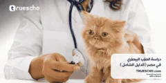 دراسة الطب البيطري في مصر 2025