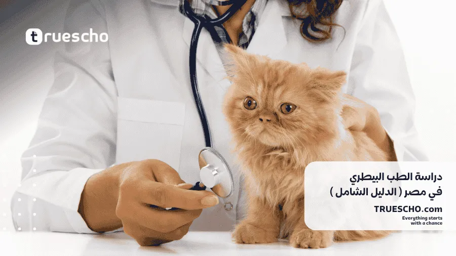 دراسة الطب البيطري في مصر