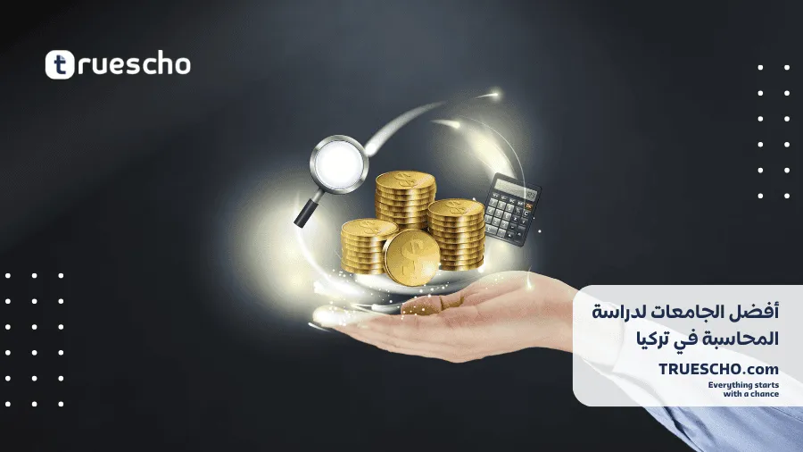 دراسة المحاسبة في تركيا 