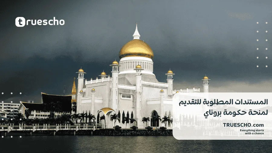 منحة حكومة بروناي