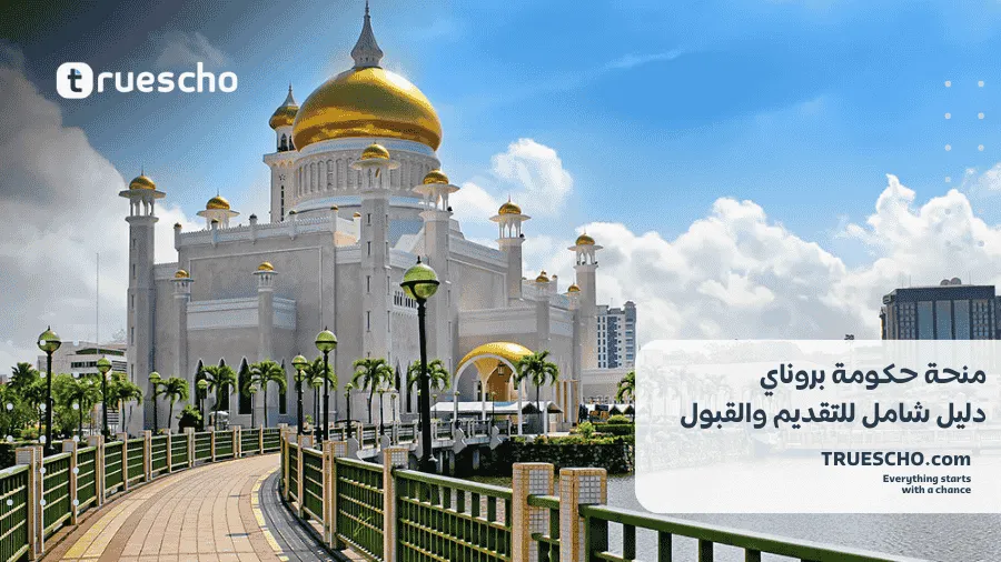 منحة حكومة بروناي