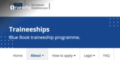 برنامج التدريب في الاتحاد الأوروبي 2025: تدريب مدفوع الأجر