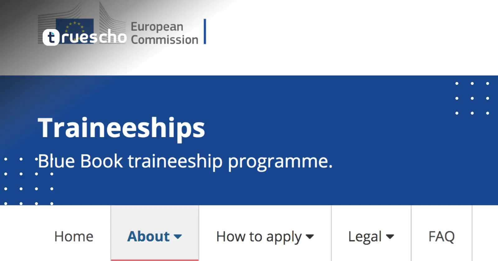 European Union Traineeships